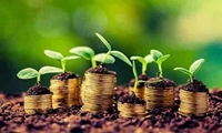 سهم بخش کشاورزی از تسهیلات حداقل معادل 10.8 درصد تعیین شد
